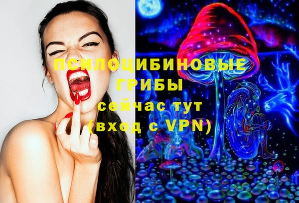 дживик Остров